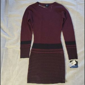 IZ Byer Sweater Dress